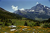 Alpe Veglia - Per tutto il percorso di ascesa al Lago del Bianco (2157 m s.l.m.)  la vetta del monte Leone con i suoi 3550 m domina il paesaggio. 